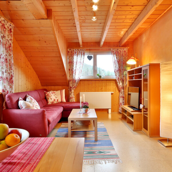 Wohnzimmer der Ferienwohnung auf dem Campingplatz Bankenhof